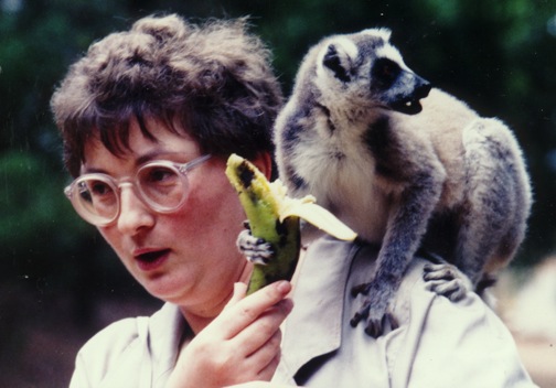 lemur-with-tourist